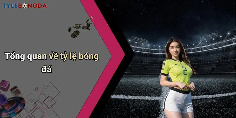 Tổng quan về tỷ lệ bóng đá