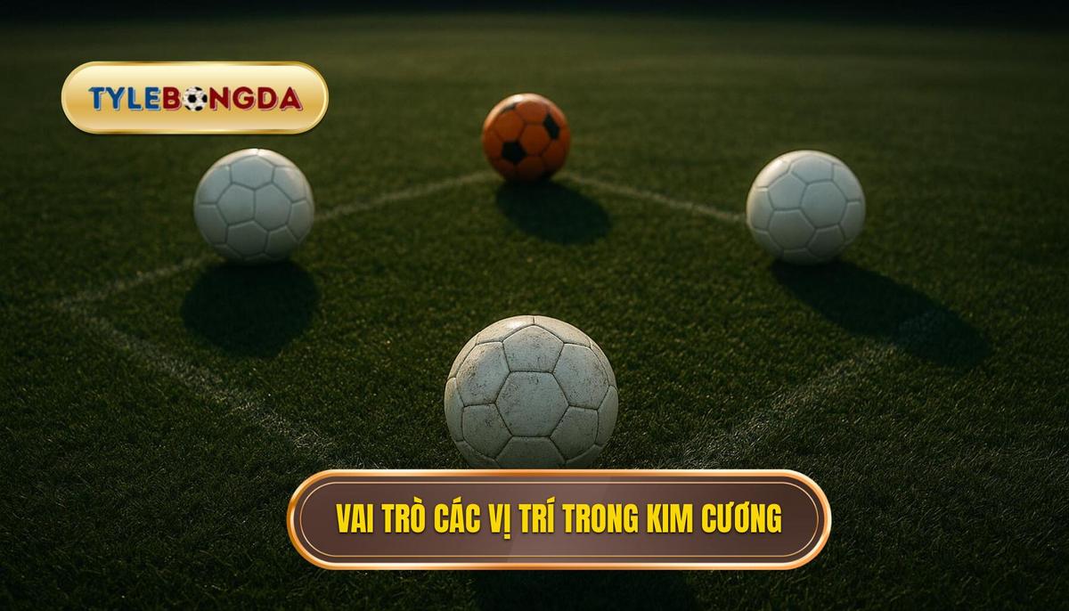 Phân tích vai trò các vị trí trong hệ thống kim cương