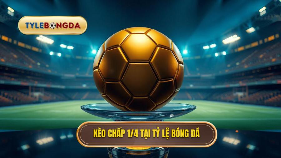 Kèo chấp 1/4 (0.25) là gì? Bí kíp chinh phục kèo đồng banh nửa trái từ chuyên gia